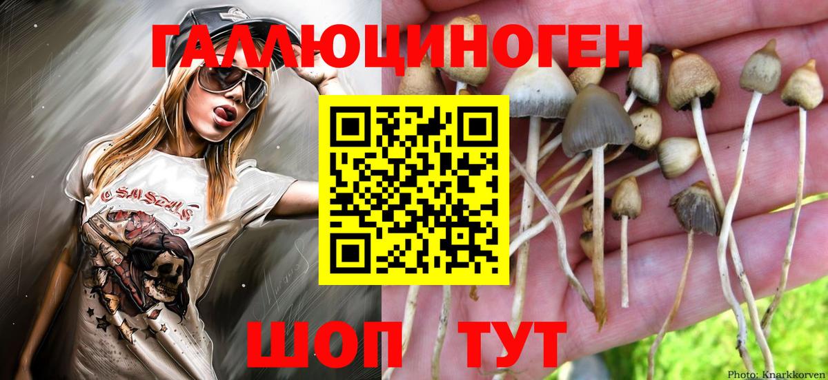 Галлюциногенные грибы ЛСД  Вход с VPN  Ярославль 